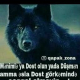 Şirbala