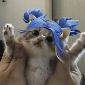 kolsuzzeytinn
