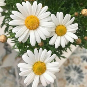 İsmigeçersiz1