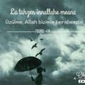 Ayyamor