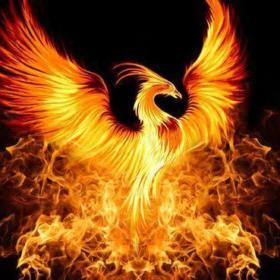 Asenay_phoenix
