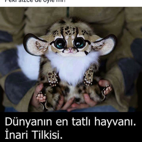 TurtacıKız