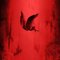 fallenangel34
