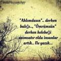Çekilmezadamm