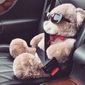 AyıTeddy