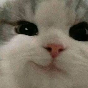 AcemiAmaDoktor
