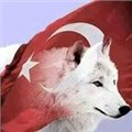 cenk_eren