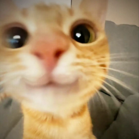 eaooowsa