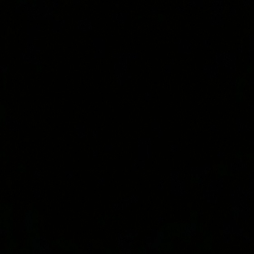 eylulx01