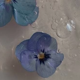 04bd06