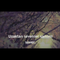 Bnyamin