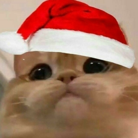 anonimsakinkankss