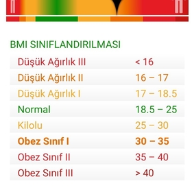 Boran162627