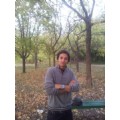 çokgizli1