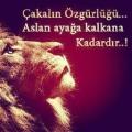 Aslan75