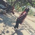 Mniree