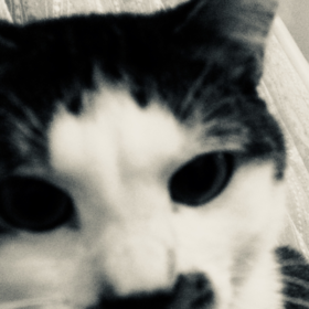Ataüst