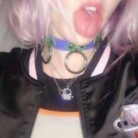 lilyp4d