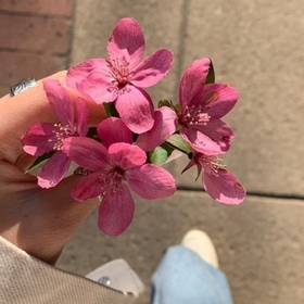 boncuk__38474