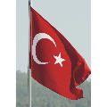 şaşkınben