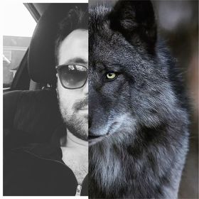 WolfTemucin