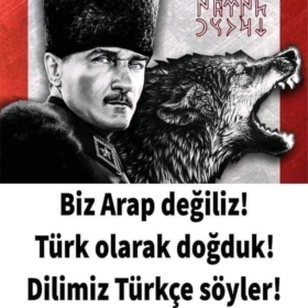 tcylmz