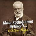 topaltırtıl