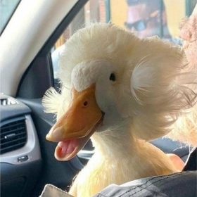 Blablalalan