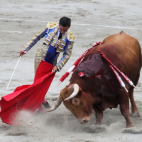 MatadorFirarda
