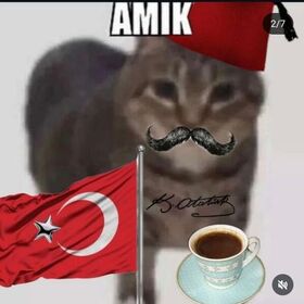 Artovalı60