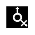 mokokoo
