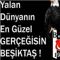 havax