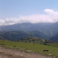 Sultiiiii