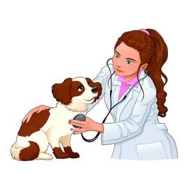 Yarenvet