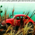 eirrifk