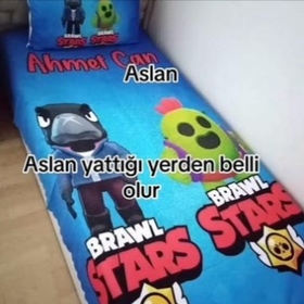 Pipimvar_x_kral_tr