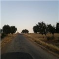 berkcan-01