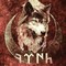 Turkish____wolf