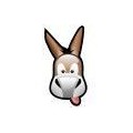 donkeyking