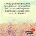 Rana-ßüşra