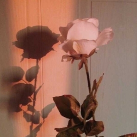 azizammm