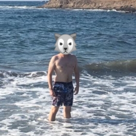 yellowwolf35