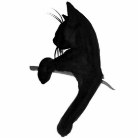 __blackcat__