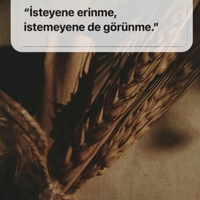 Gözdem65