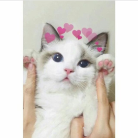 xxslnnxx