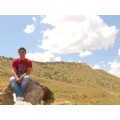 kadirzararsız