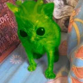 miccik