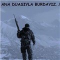 blue_35