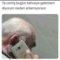 nes2mvarhayatta