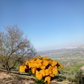 Elifkorkmaz05
